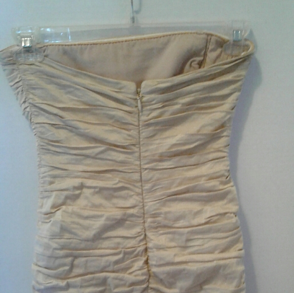 BCBG Champagne Cocktail Dress - Picture 5 of 7